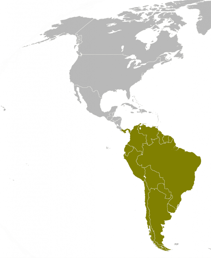 mapa suramericana